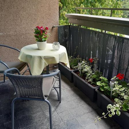 Homestay Rosalia Любляна Екстер'єр фото