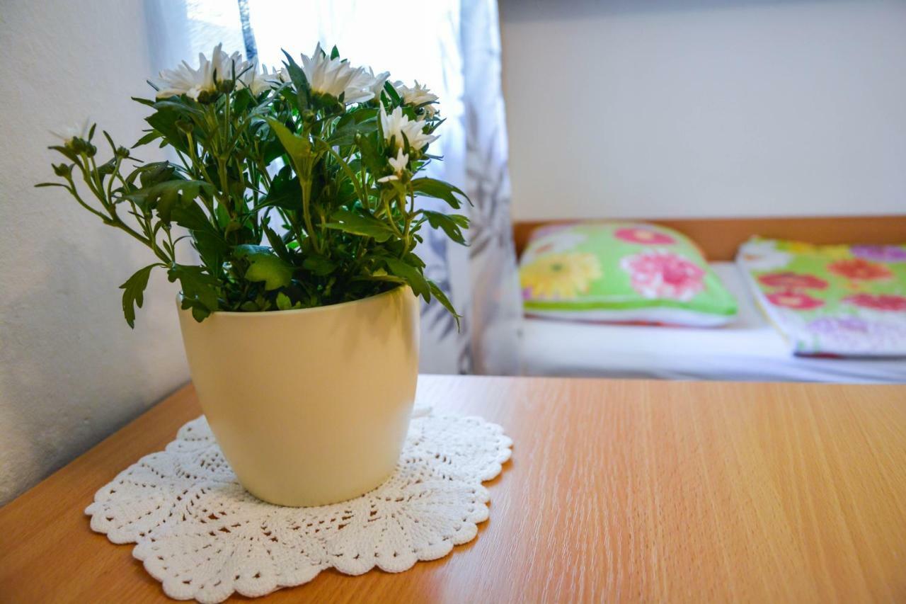 Homestay Rosalia Любляна Екстер'єр фото